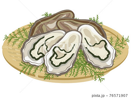 ザル盛りの牡蠣(5個) ザル盛りの牡蠣(5個) 76571907