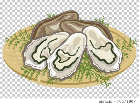 ザル盛りの牡蠣(5個) ザル盛りの牡蠣(5個) 76571907