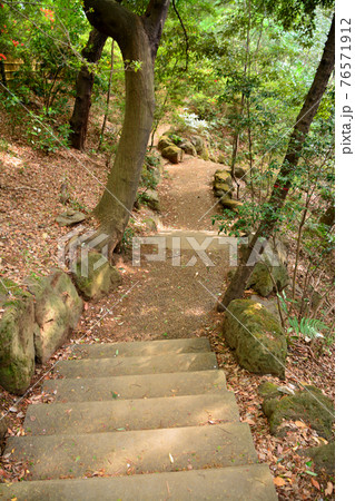 都心随一の渓谷「等々力渓谷」 都心随一の渓谷「等々力渓谷」 76571912