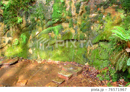 都心随一の渓谷「等々力渓谷」 76571967