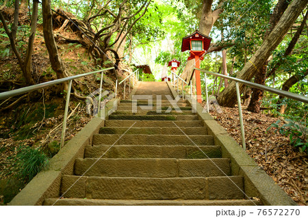 都心随一の渓谷「等々力渓谷」 76572270