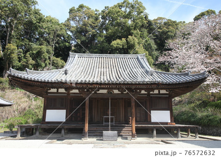 長保寺 本堂と桜 長保寺 本堂と桜 76572632