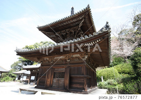 長保寺 多宝塔と桜 長保寺 多宝塔と桜 76572877