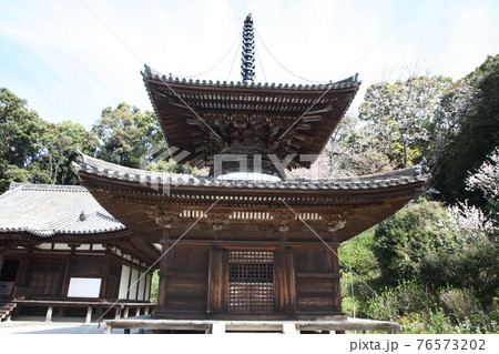 長保寺　多宝塔と桜 76573202