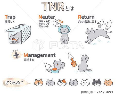 TNR活動 地域猫 イラストセット TNR活動 地域猫 イラストセット 76573694
