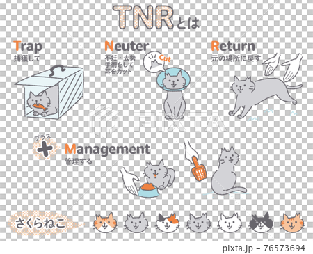 TNR 活動區域貓插圖集 76573694