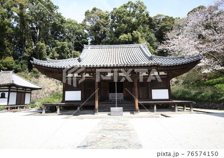 長保寺 本堂と桜 長保寺 本堂と桜 76574150