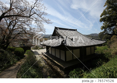 長保寺 本堂と桜 長保寺 本堂と桜 76574526