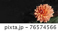 Autumn orange dahlia flower. 76574566
