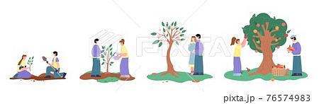 Couple planting and growing a tree, cartoon vector illustration isolated. Couple planting and growing a tree, cartoon vector illustration isolated. 76574983