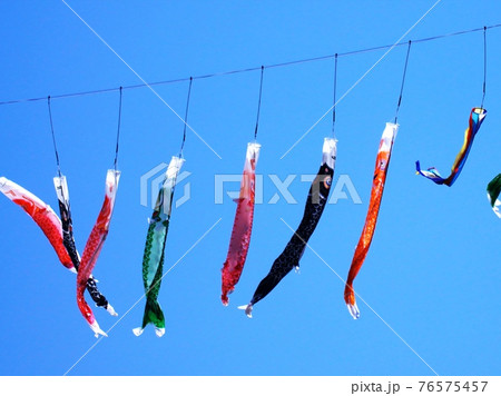 大空を泳ぐ鯉のぼり 大空を泳ぐ鯉のぼり 76575457