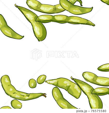 手描き水彩の枝豆イラストフレーム 主線ありのイラスト素材