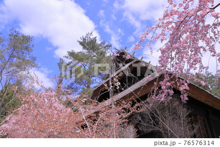 西湖いやしの里根場 西湖いやしの里根場 76576314