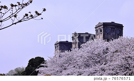 根岸森林公園と桜 根岸森林公園と桜 76576571