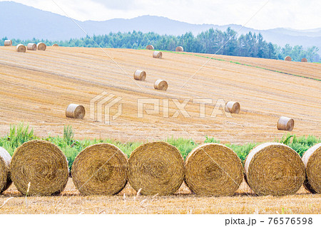 「北海道」美瑛町の丘　牧草ロール 76576598