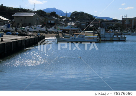 漁港を泳ぐ海鵜 76576660