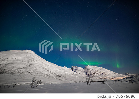 自然界の神秘に触れる瞬間 自然界の神秘に触れる瞬間 76576696