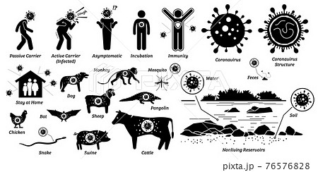 Virus infection disease on living and nonliving organisms. Vector illustrations of infected human and animals by flu, influenza, and virus. Human and animal are host and carrier of the coronavirus. Virus infection disease on living and nonliving organisms. Vector illustrations of infected human and animals by flu, influenza, and virus. Human and animal are host and carrier of the coronavirus. 76576828