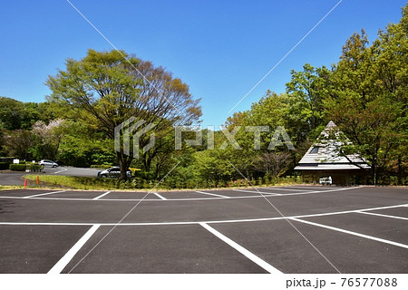 神奈川県立七沢森林公園　北口駐車場と青空と新緑 76577088