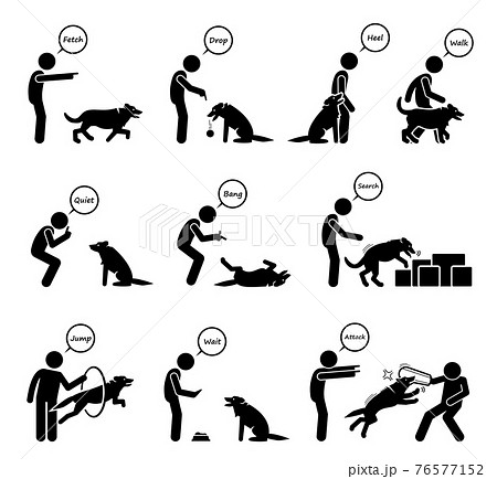 Advanced dog commands and behavioral training icons set. Vector illustrations of a person giving hand signals for the dog to follow in obedient learning. 76577152