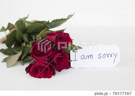 i am sorry message card handwriting with red rose flowers i am sorry message card handwriting with red rose flowers 76577567