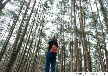 Traveler woman take a photograph in nature Pine Park. Tourist with camera travel photo of photographer Making pictures Traveling Trip Sightseeing Tourism concept. 76578331