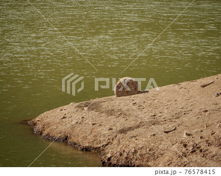 ダムの底から現れた岩 ダムの底から現れた岩 76578415