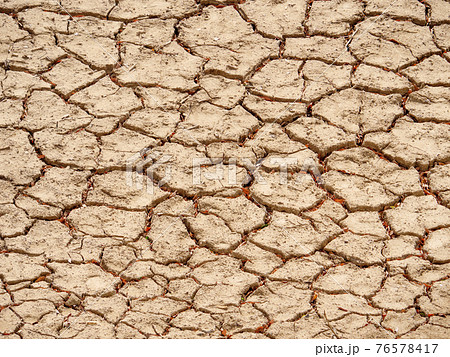干上がった池のひび割れた土 76578417