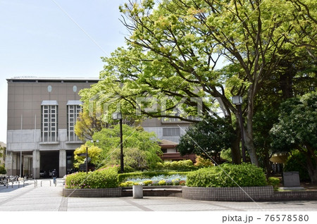 神奈川県藤沢市　秩父宮記念体育館出入口と旧近藤邸tと新緑 76578580