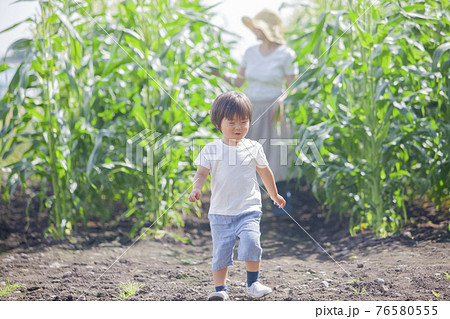 畑で遊ぶ男の子と、畑で働くお母さん 畑で遊ぶ男の子と、畑で働くお母さん 76580555