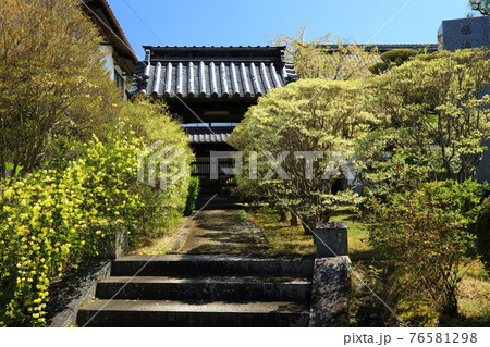 文覚寺 文覚寺 76581298