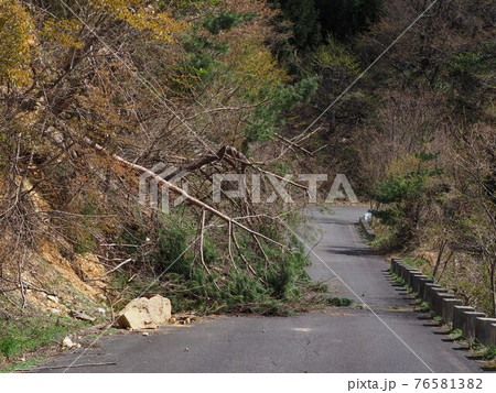 倒木や落石が見られる早春の林道 76581382