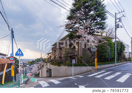 東京散歩、東京都、世田谷区、世田谷区岡本3丁目の坂 東京散歩、東京都、世田谷区、世田谷区岡本3丁目の坂 76581772