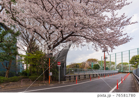 東京散歩、東京都、世田谷区、世田谷区岡本3丁目、グランド橋 東京散歩、東京都、世田谷区、世田谷区岡本3丁目、グランド橋 76581780