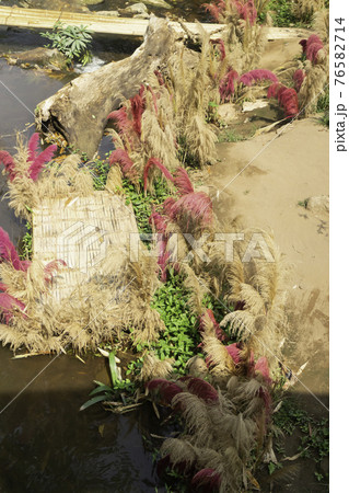 Pink summer garden of resort exterior 76582714