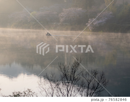 三重県 大台町さくらの里公園の桜と周辺の風景 三重県 大台町さくらの里公園の桜と周辺の風景 76582846