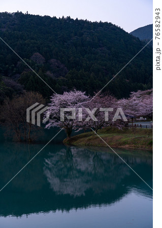 三重県　　大台町さくらの里公園の桜と周辺の風景 76582943
