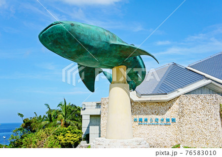 美ら海水族館のジンベエザメのモニュメントの写真素材 美ら海水族館のジンベエザメのモニュメントの写真素材