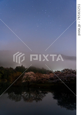 三重県 大台町さくらの里公園の桜と周辺の風景 三重県 大台町さくらの里公園の桜と周辺の風景 76583251