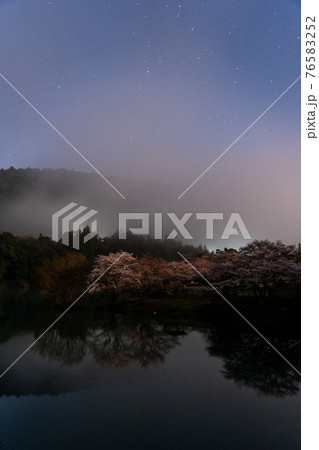 三重県 大台町さくらの里公園の桜と周辺の風景 三重県 大台町さくらの里公園の桜と周辺の風景 76583252