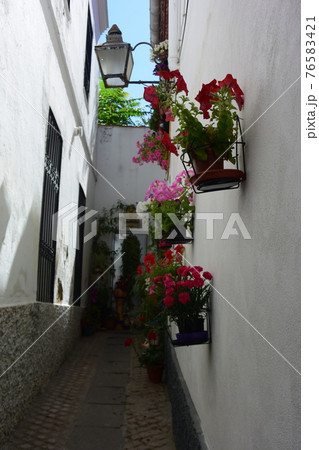 花の都 コルドバ 花の小道 花の小路 スペイン の写真素材