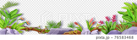 Jungle border vector leaf floral frame, tropical plant background, liana, banana, exotic flowers 76583468