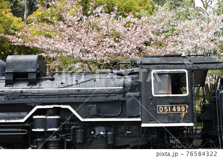 蒸気機関車と桜 76584322