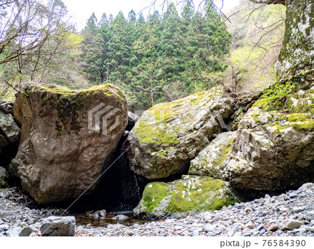 美しい春の北秋川の景色　神戸岩の渓谷 76584390