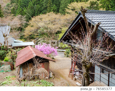 美しい春の北秋川の景色 山里の春 美しい春の北秋川の景色 山里の春 76585377