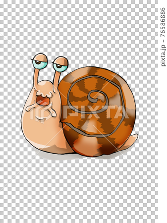 snail, snails, cochlear - Stock Illustration [76586886] - PIXTA