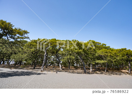 三保の松原 三保の松原 76586922