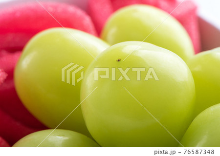 マスカット ぶどう 葡萄 76587348