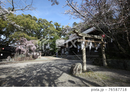 藤白神社 76587718