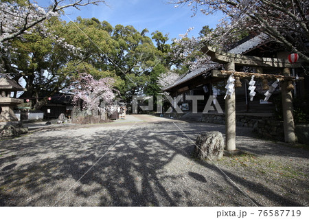 藤白神社 76587719